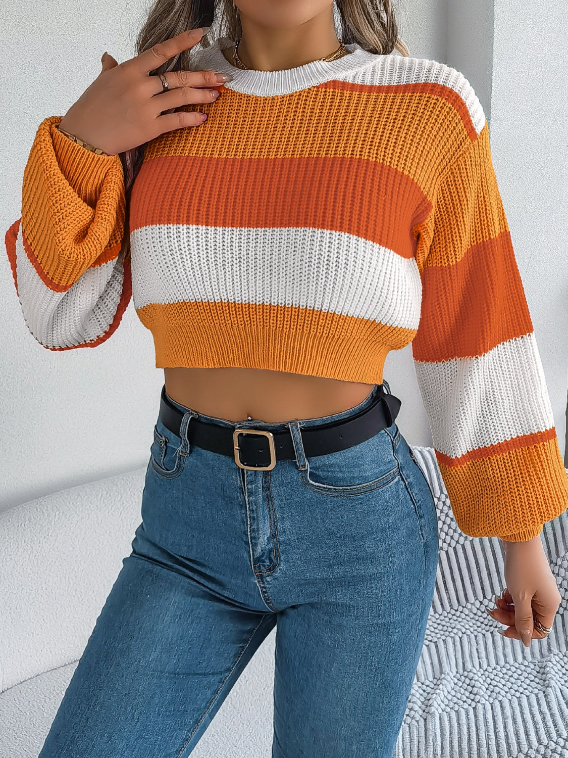 Color Block Round Neck Cropped Sweater