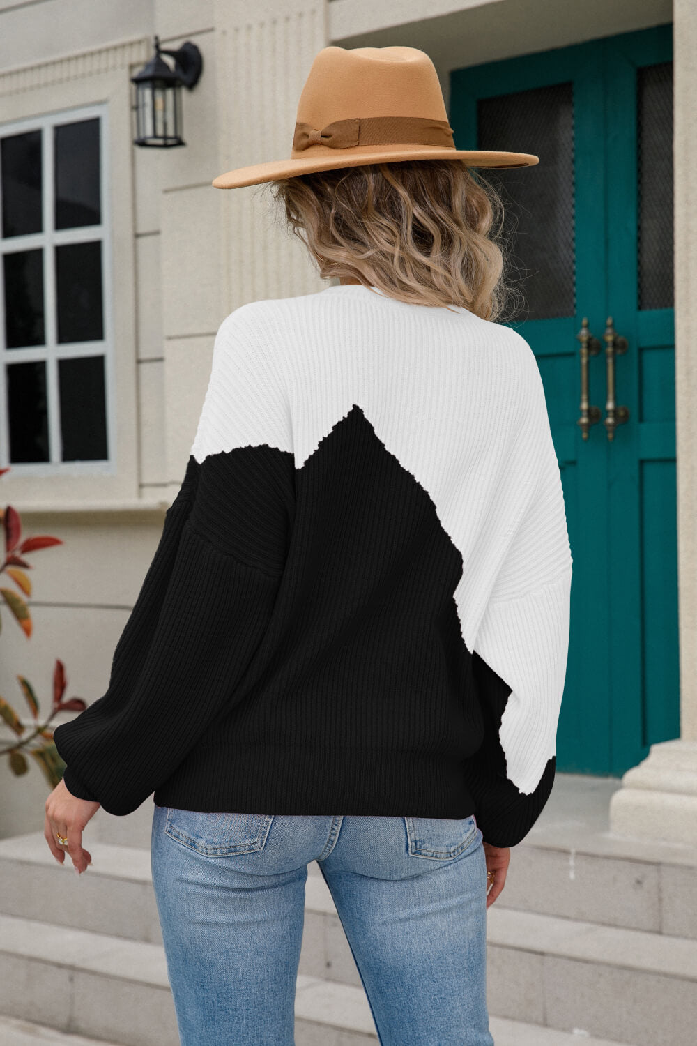 Angel Wings Two-Tone Round Neck Ribbed Sweater